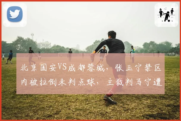 北京国安VS成都蓉城,张玉宁禁区内被拉倒未判点球,主裁判马宁遭全场嘘声